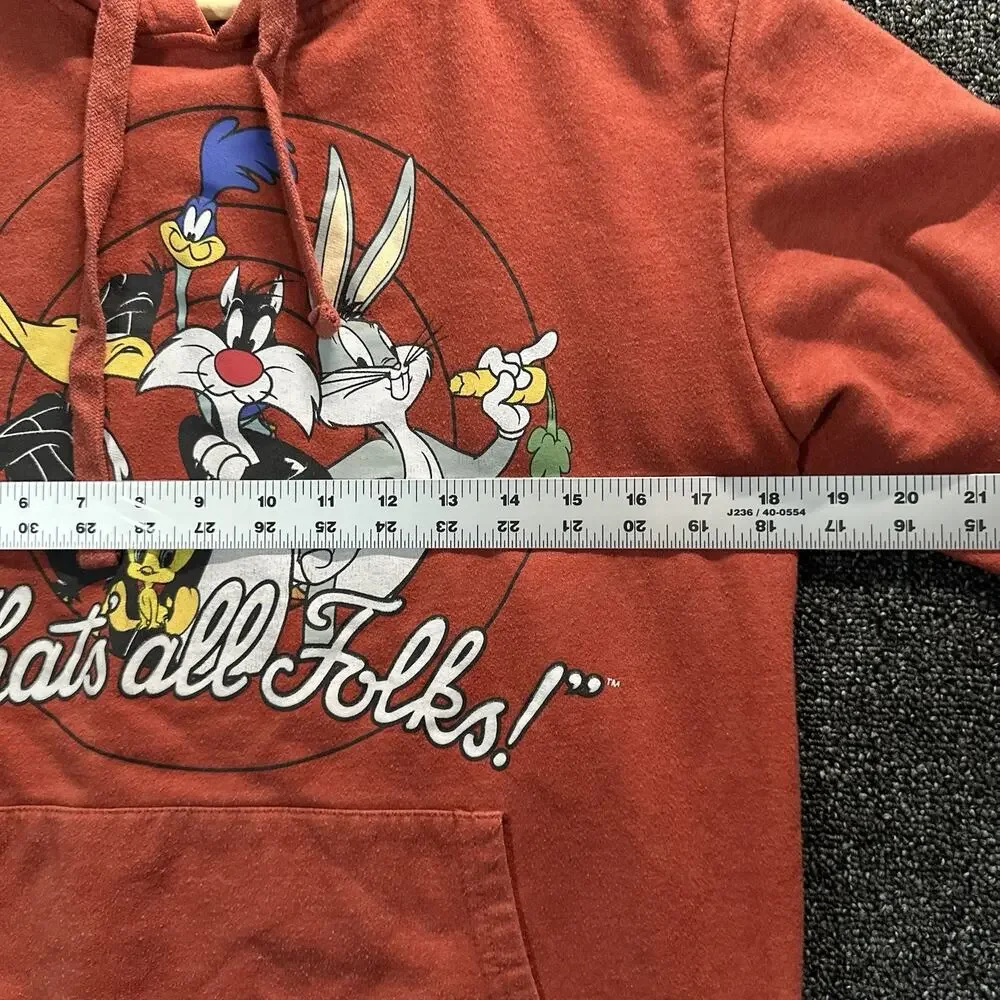 Looney Tunes Classic Character M7-9 Pull Over Hoodie Rust Front CharaGraphic